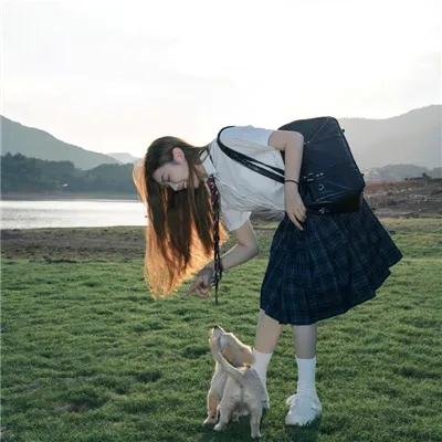 马男波杰克第一季