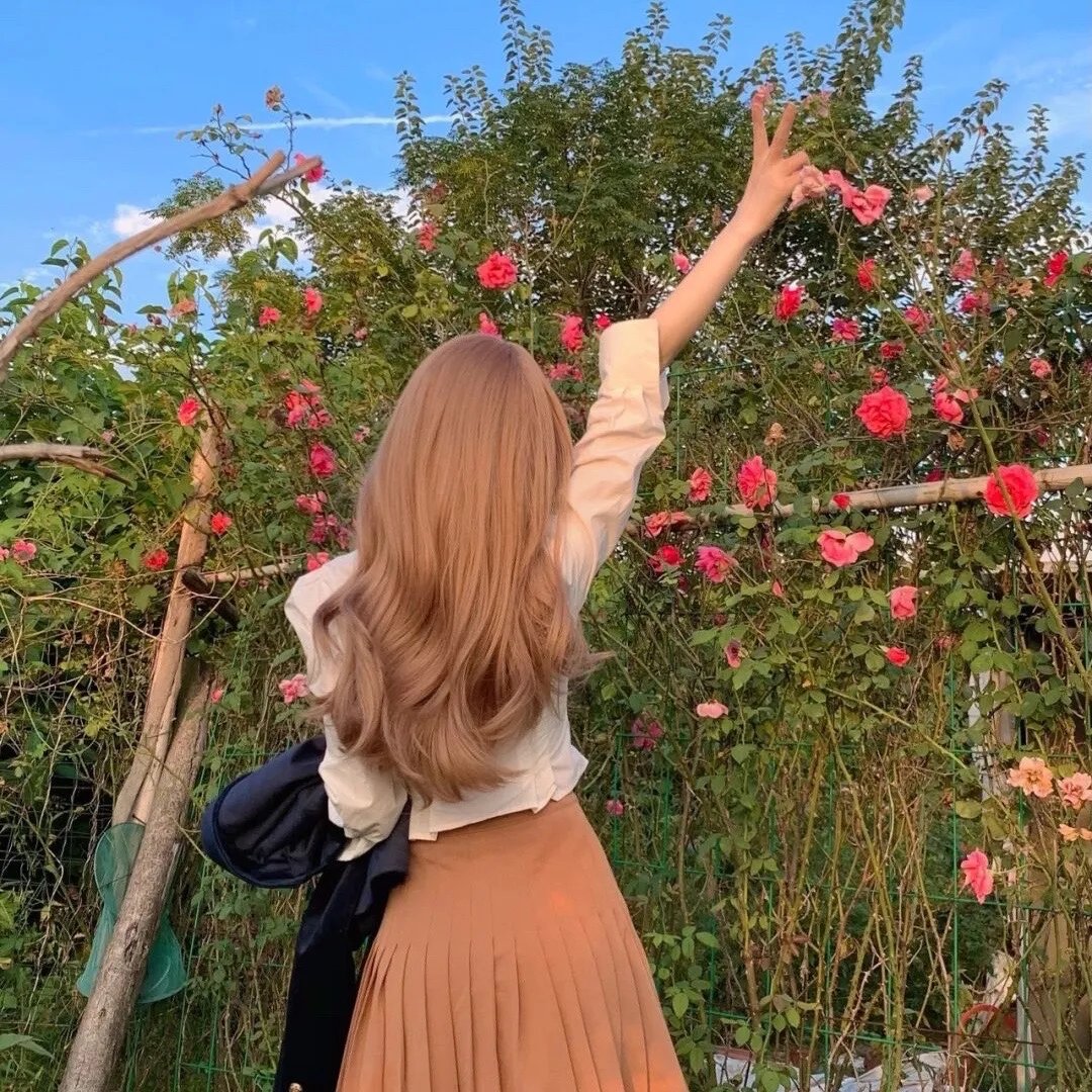 青花倾城夜未央